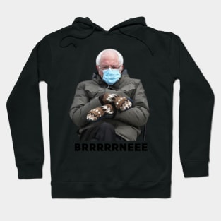 Bernie's Mittens Sanders Meme Hoodie